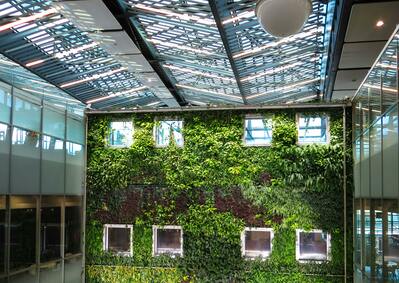 Dejte rekonstrukci zelenou a nechte se zadotovat